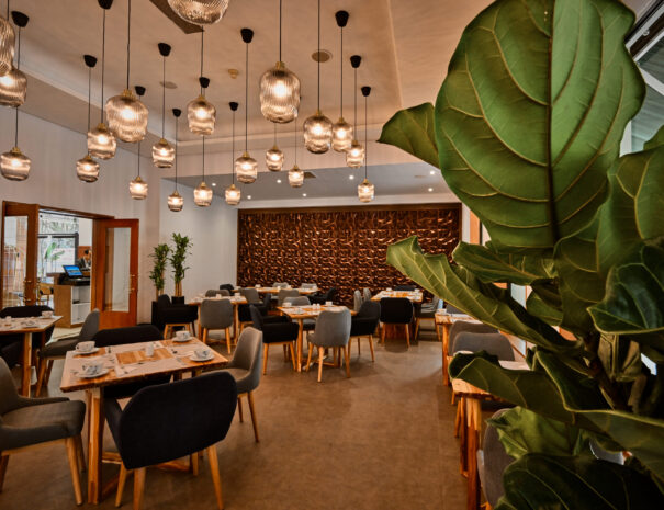 restaurante antonia bistro